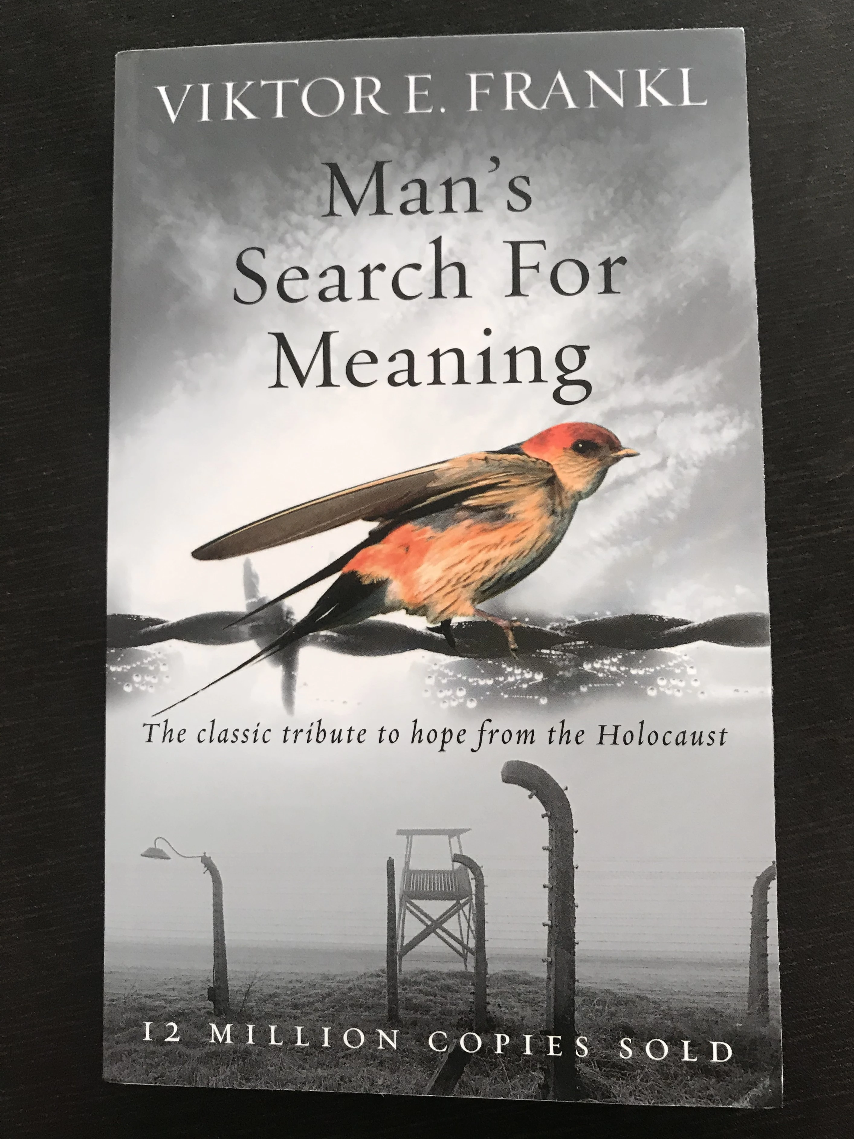 Man's Search For Meaning